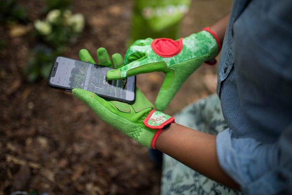 Digz 7654-23 Women s Signature Gloves w Touchscreen Compatible Fingertips, Large Online now - Image 2